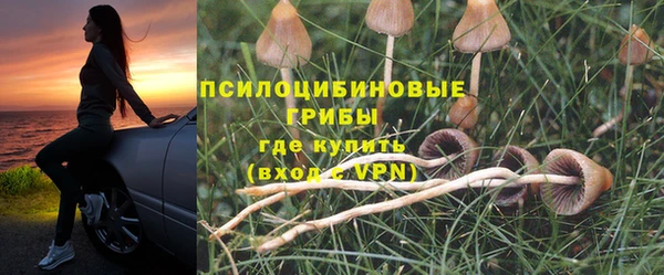мдпв Нея