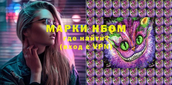 ешки Вяземский