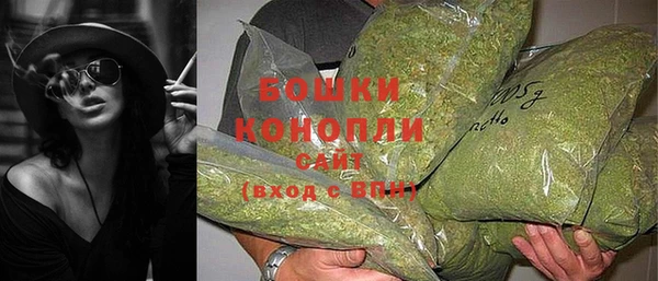мдпв Нея