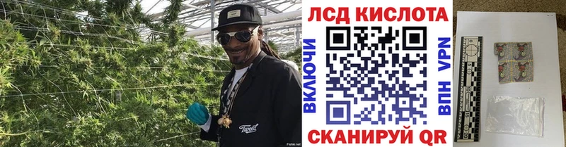 Марки N-bome 1500мкг Касли