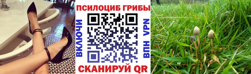Галлюциногенные грибы ЛСД  Касли 